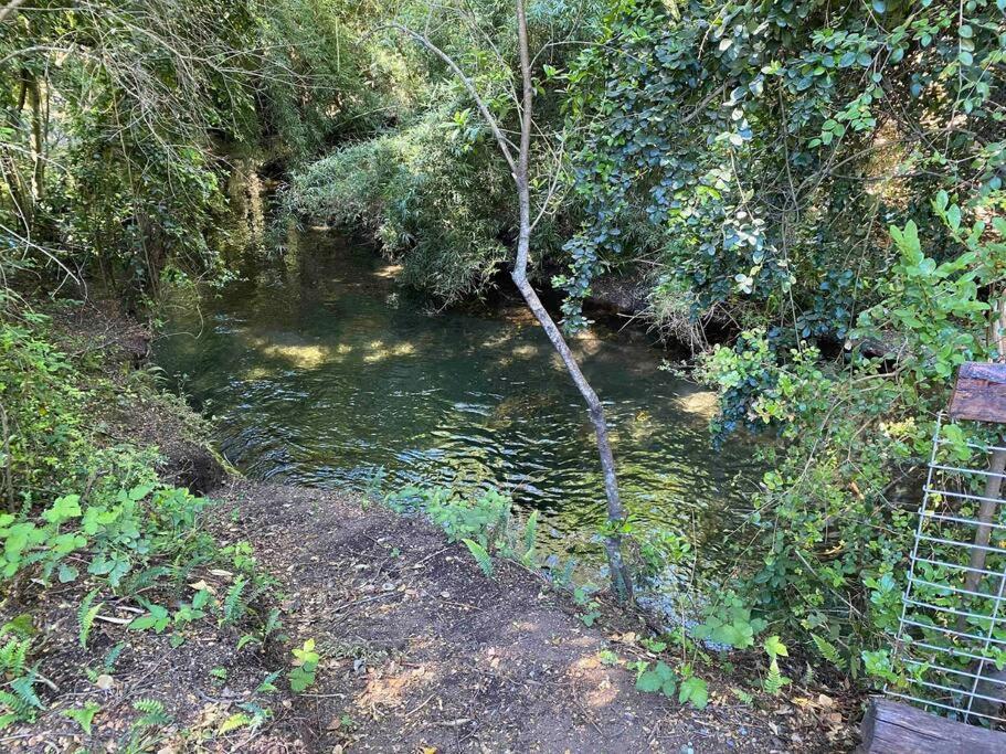 Acogedora Cabana Al Borde Del Rio Claro Villa Pucón Esterno foto